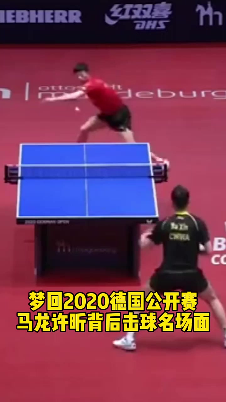 包含比利时乒乓球队绝杀波兰乒乓球队，许昕送出助攻的词条