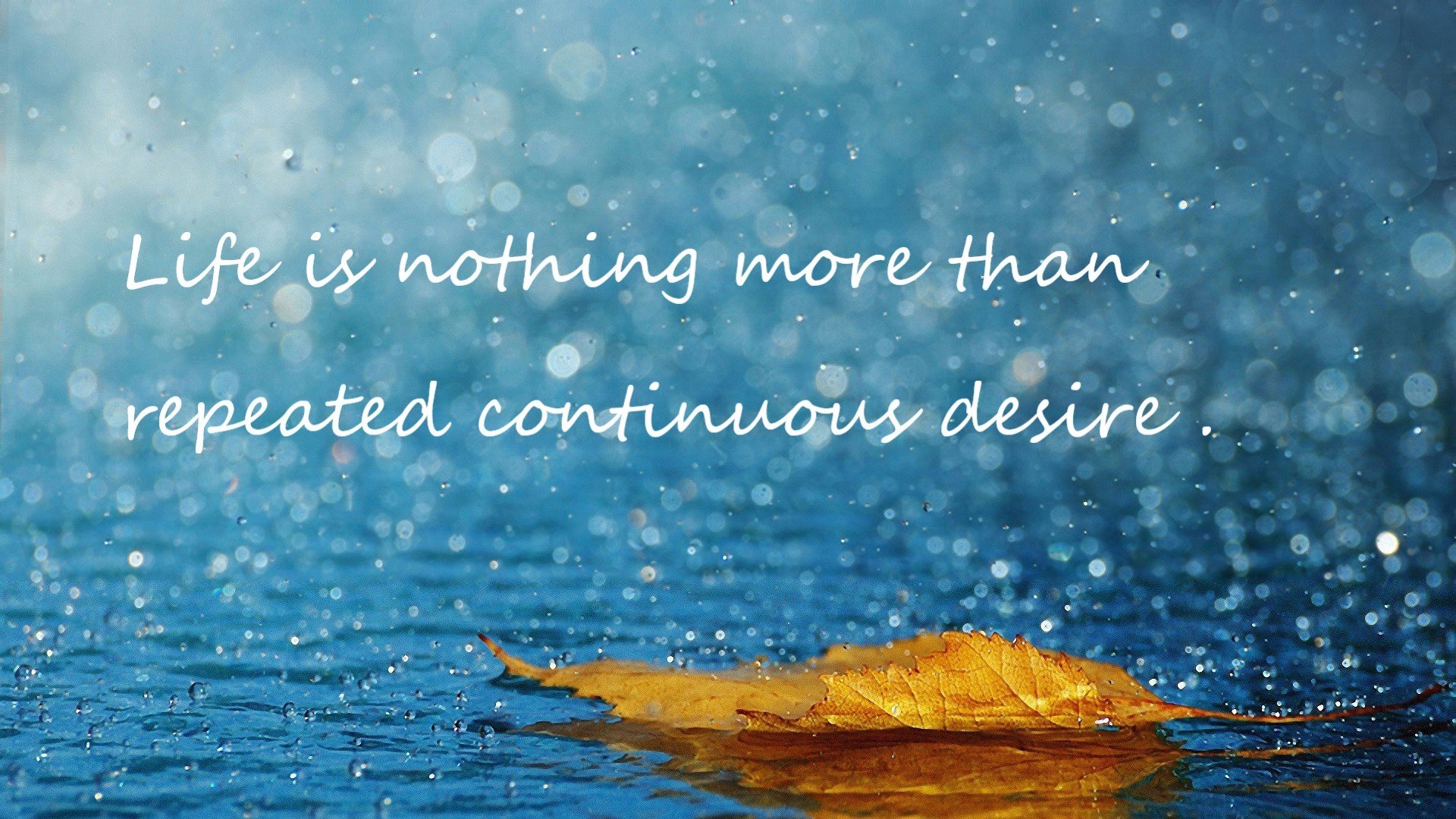 绝境之王，西亚卡姆在抢七生死战中接管比赛的传奇之夜