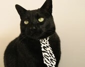 当太阳于西决升起,一场提前终结的悬念与辽宁队的漫漫长夜