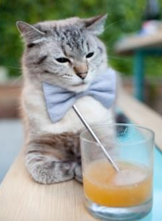 欧冠半决赛焦点战，黑马神话熔断冰川之心，亚特兰大轻取冰岛豪门