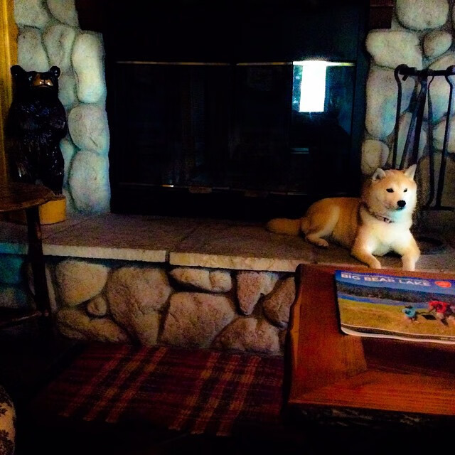 开云体育中国-孤胆神射手，当利拉德在山西队面前上演完美个人主义