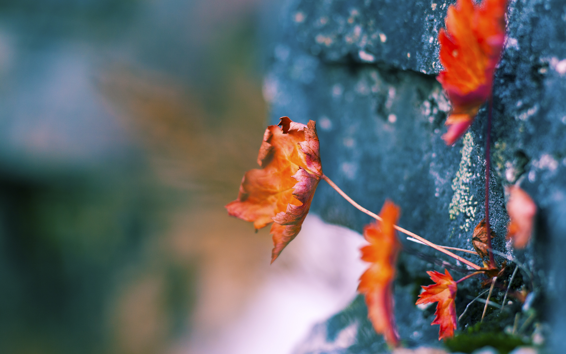 保罗狂飙突袭，深圳战术铁笼锁死浙江