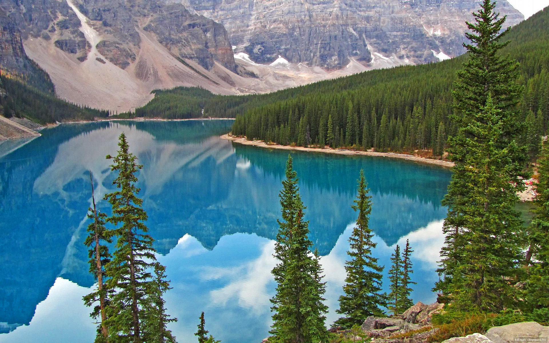 开云体育中国-禁区巨塔与天山猎鹰的碰撞，文班亚马用统治级数据谱写新西游记