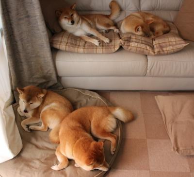 欧冠半决赛焦点战，山西队提前终结悬念，马刺遭遇滑铁卢