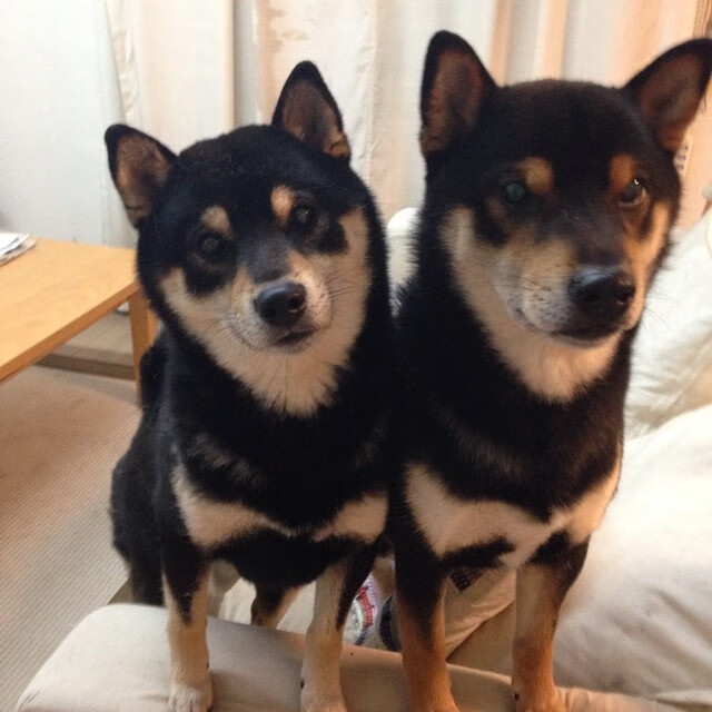 凌晨四点的里程碑,美加墨世界杯之夜的乔治传奇