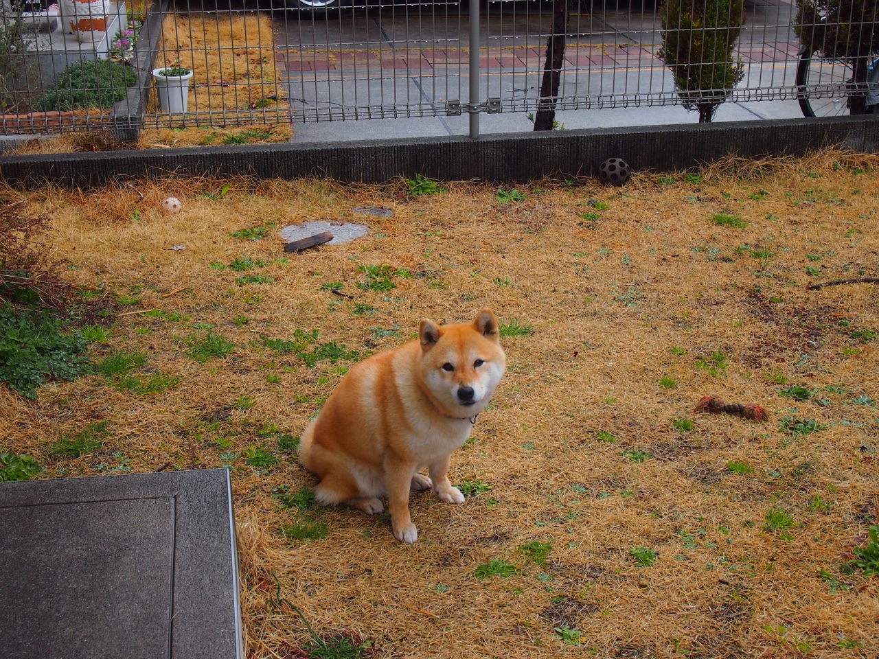 开云体育下载-奥纳纳爆发力挽狂澜，英格兰最后一刻绝杀埃及