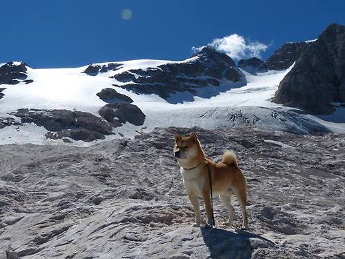 东契奇生涯之夜光芒万丈，辽宁队力克雄鹿震惊篮坛