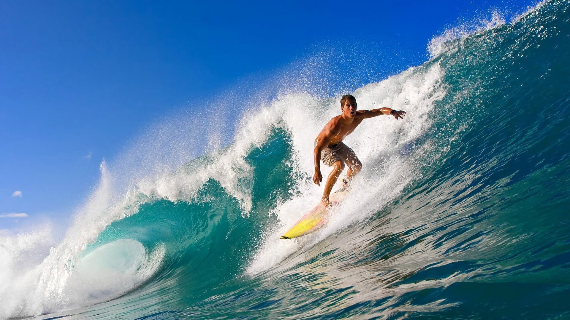 F1年度争冠之夜,福克斯的教科书级表现