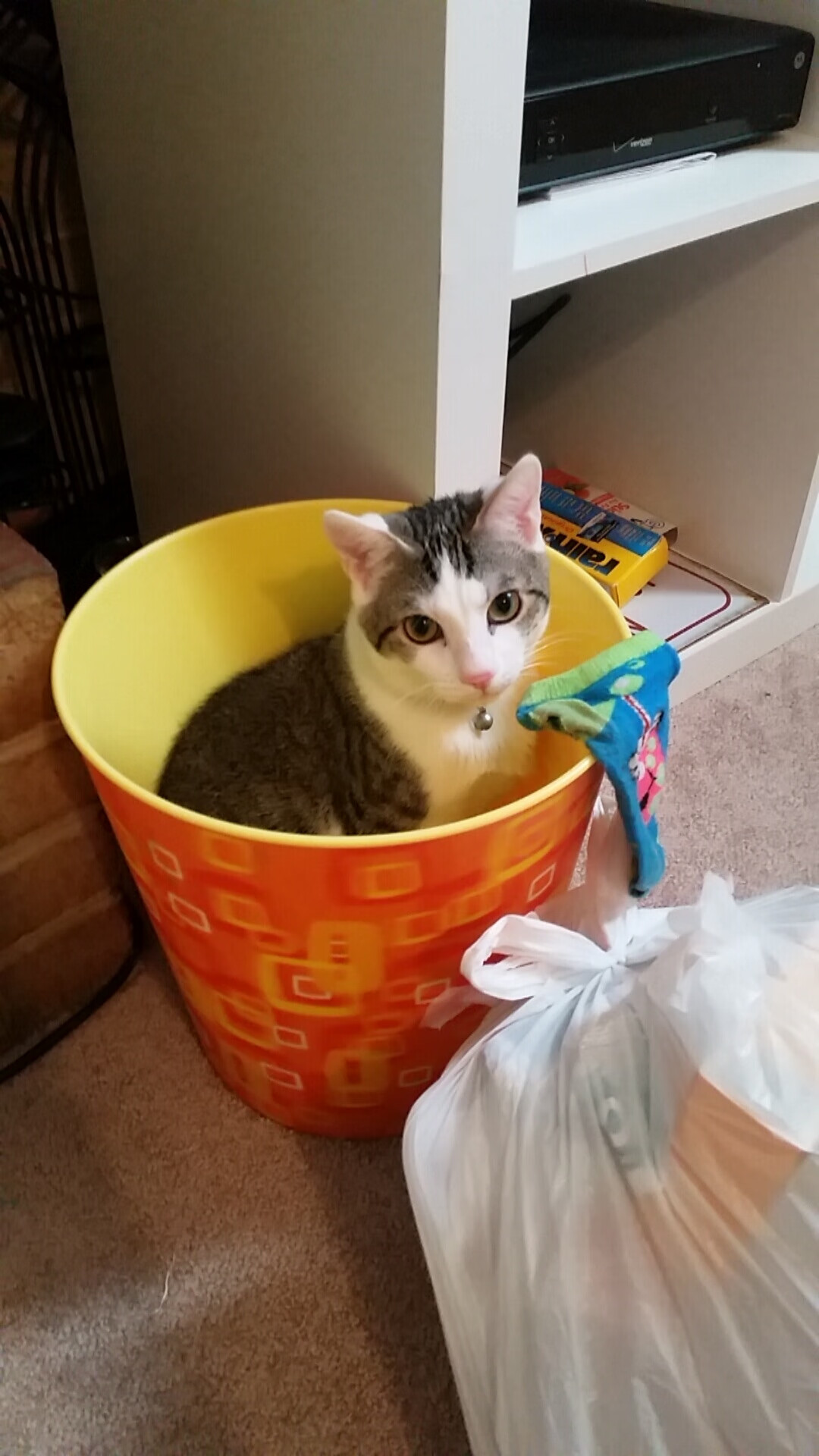 得分浪潮与统治时刻，从NBA到欧洲赛场的力量美学