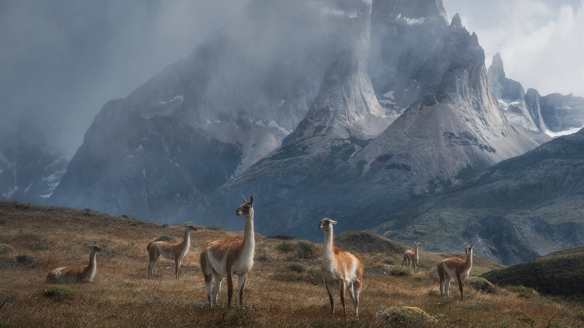 戈麦斯独挑大梁，澳大利亚绝境逢生