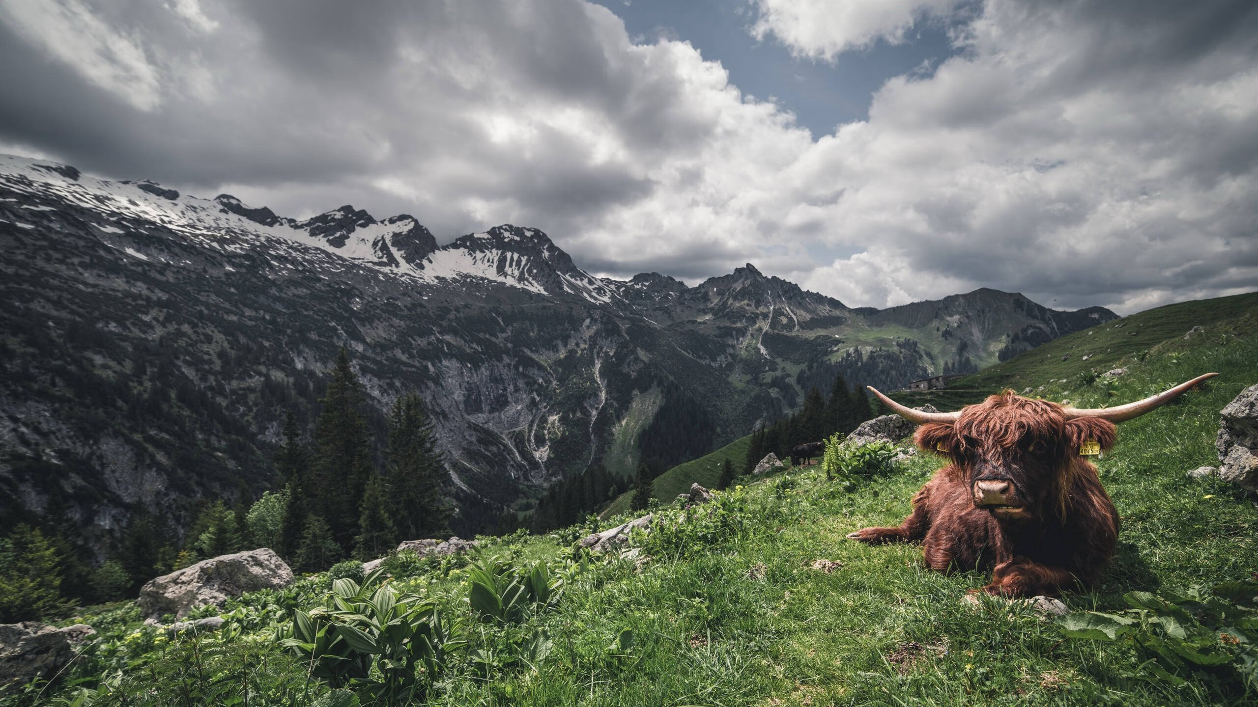 开云官网-欧冠史诗夜！塞维利亚黑色闪电席卷加纳军团