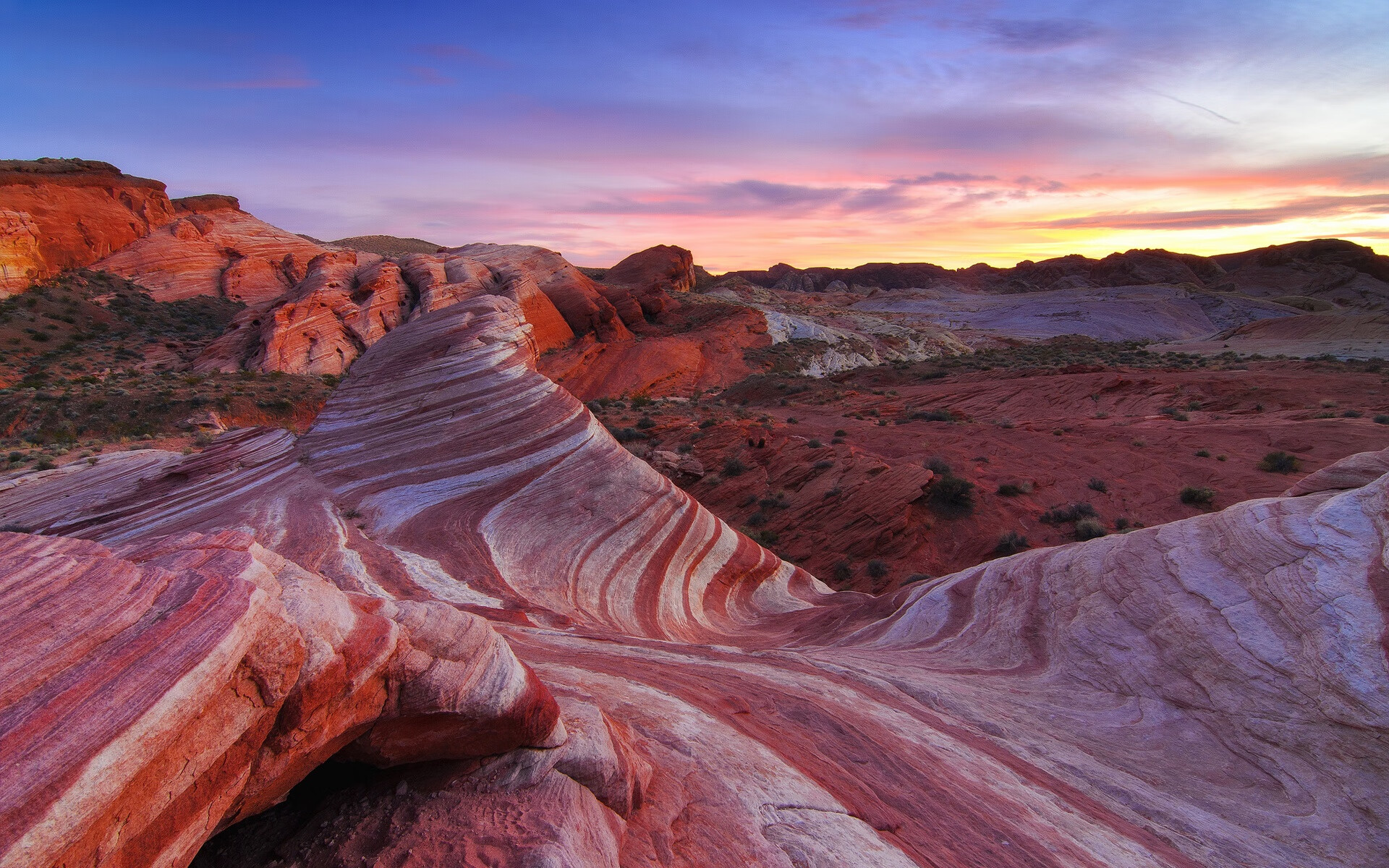 天竺风暴,2026世界杯E组,印度逆转法国,费利克斯演绎攻守转换教科书