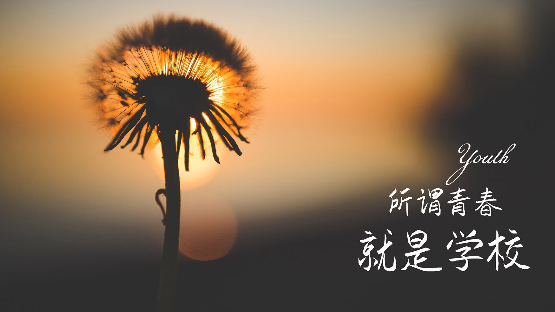 2026世界杯焦点战,伊朗碾压韩国,德布劳内惊艳全场