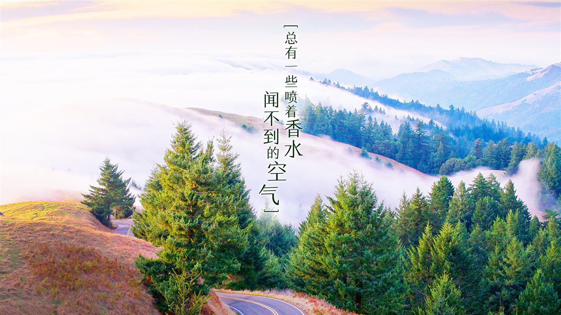 开云官网-英雄不老，格列兹曼导演经典逆转，西班牙险胜秘鲁挺进2026世界杯八强