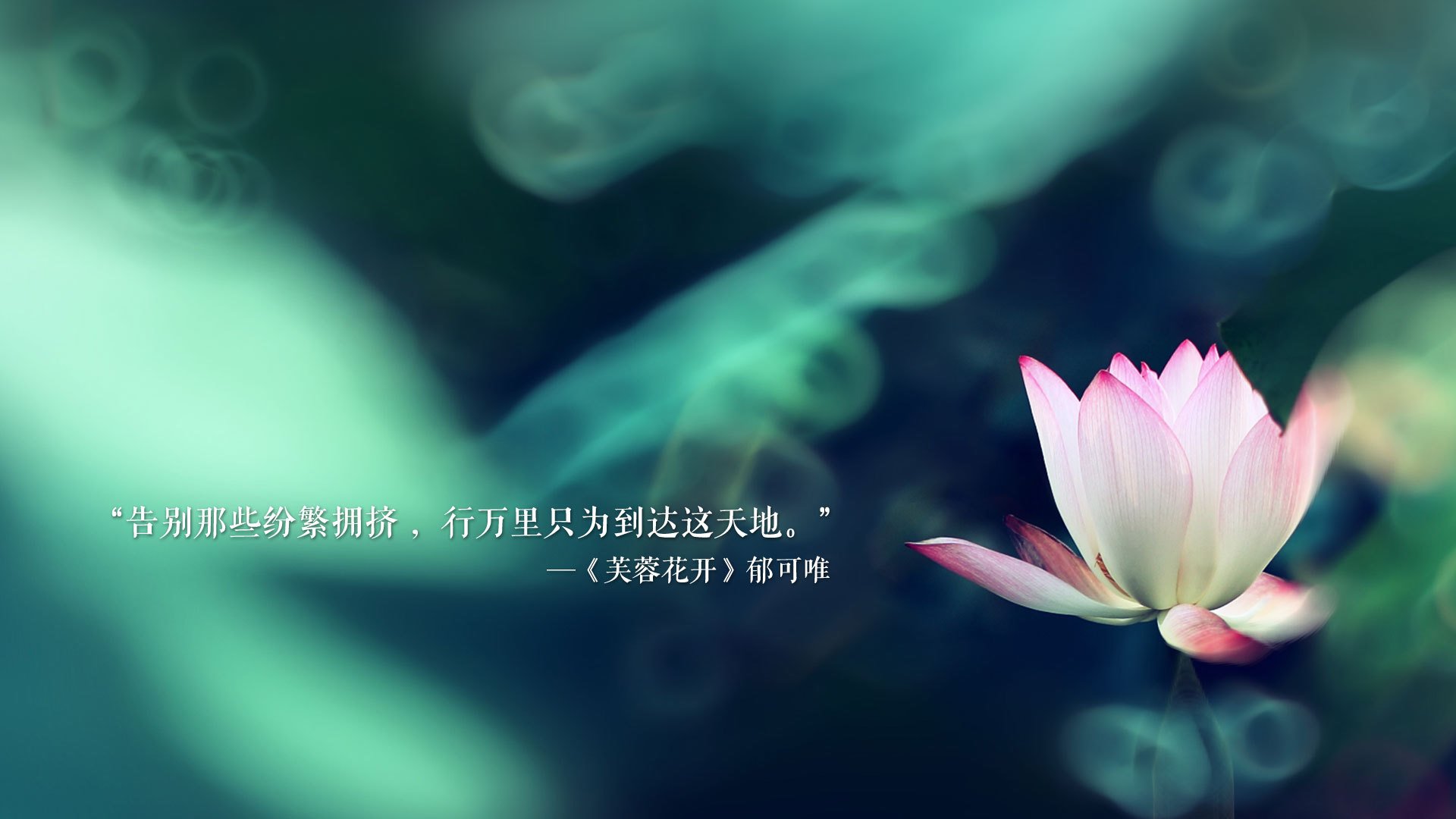 开云体育在线-铁血橙衣军，范戴克统帅防线，替补奇兵绝杀罗马尼亚