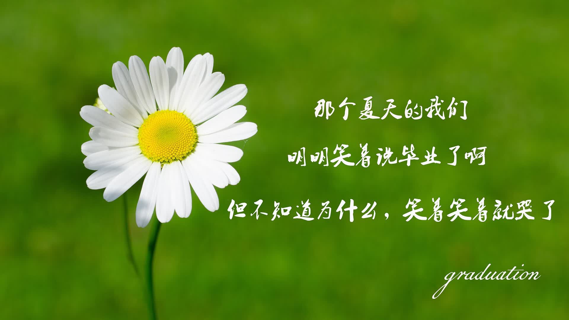 开云官网-郁金香暗夜绽放，荷兰压制伊拉克，莫德里奇绝杀定乾坤，替补奇兵改写2026世界杯剧本